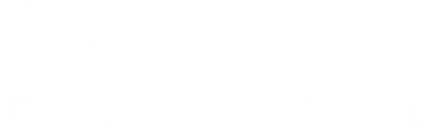 Clínica Birbe Logo